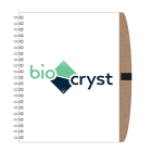 Spiral Notebook- 8.5" x 11"        