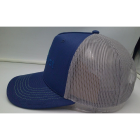 BioCryst Hat